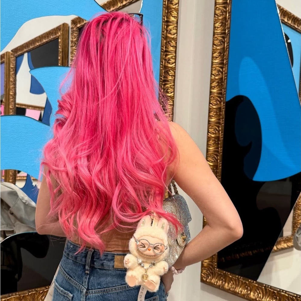 NWT NIB Labubu THE MONSTERS - Have a Seat Vinyl Plush Blind Box - Sisi - Picture 6 of 15